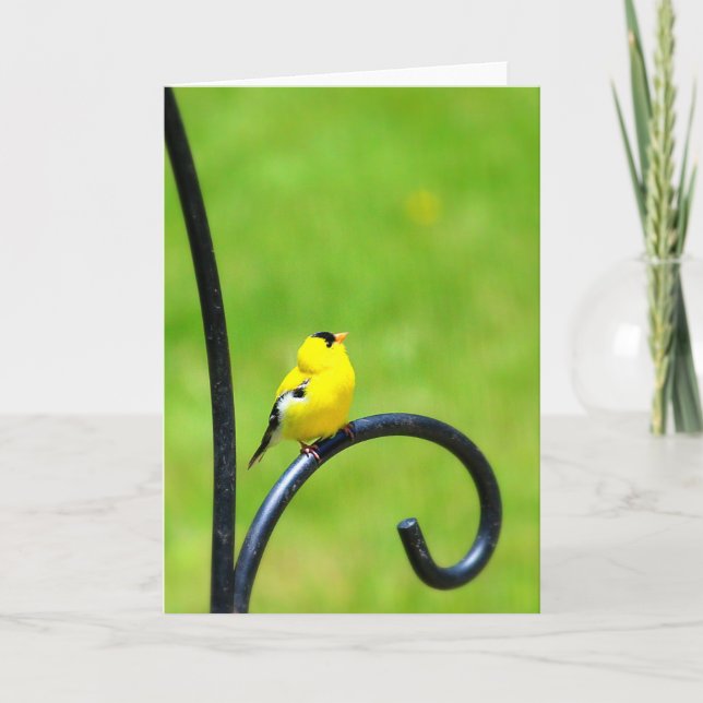 Olhando acima o cartão (Frente)