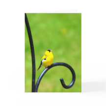 Olhando acima o cartão