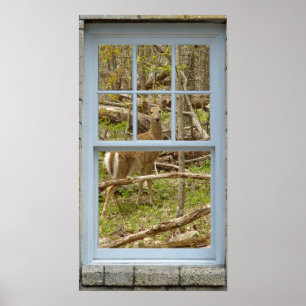 Olhando para o Poster Deer Doe