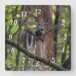 Olhando Para Trás Do Relógio De Parede