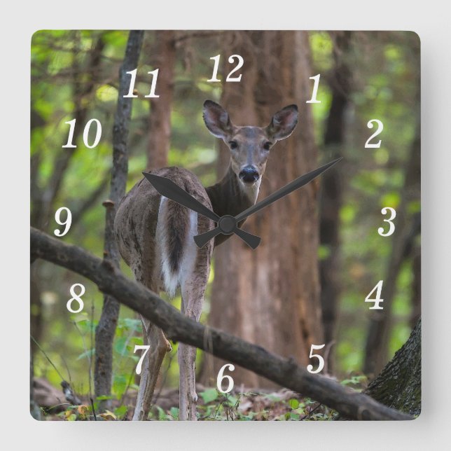 Olhando Para Trás Do Relógio De Parede (Frente)