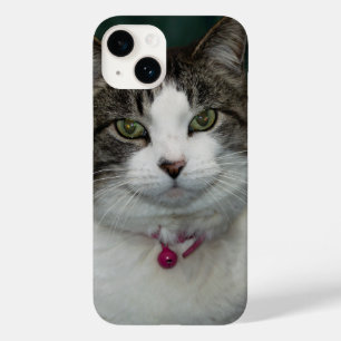 Olhando para você Olhando para a minha capas de ip