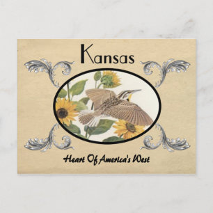 Olhar Antigo Cartão Postal Kansas State
