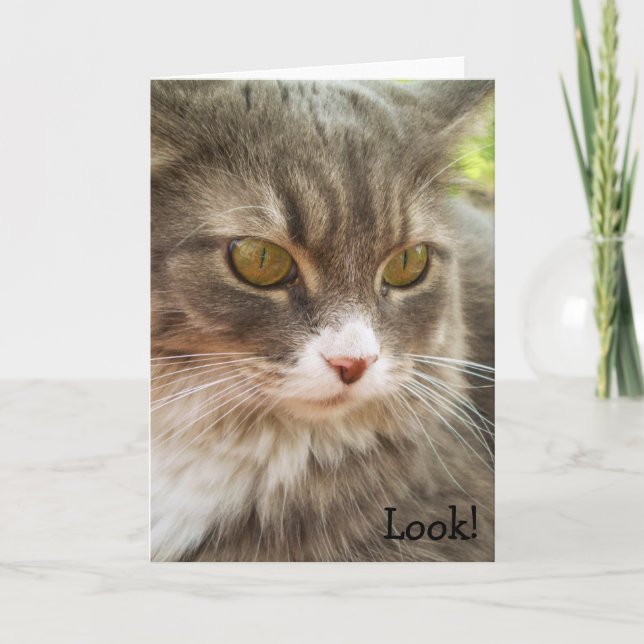 Olhe! Cartão de aniversário com gato (Frente)