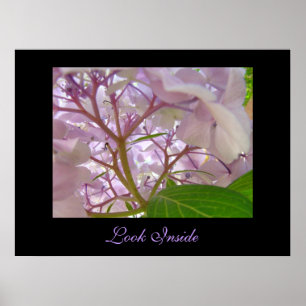 Olhe o Hydrangea cura do toque do impressão