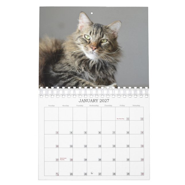 Olhe o que o gato trouxe no calendário do (Jan 2027)