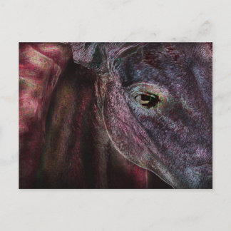 Olho do Beholder - Cartão de Posto