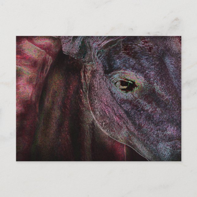 Olho do Beholder - Cartão de Posto (Frente)