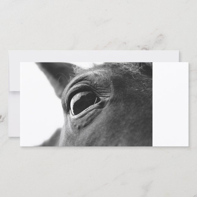 Olho do pônei 1 (Frente)