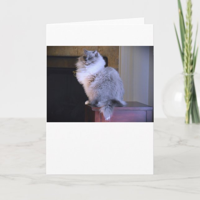 Olhos Azuis, cartão (Frente)