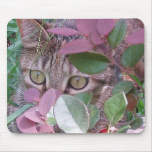 Olhos de gato Mousepad da chama