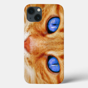 Olhos de Gato Olhos de Gato Face Cavala Tigre Verm