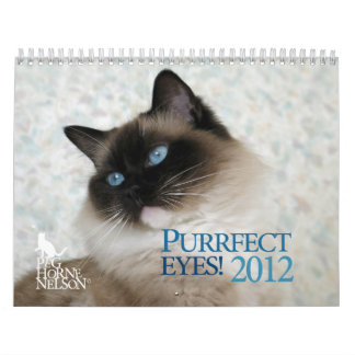 Olhos de Purrfect! Calendário 2012 do gato