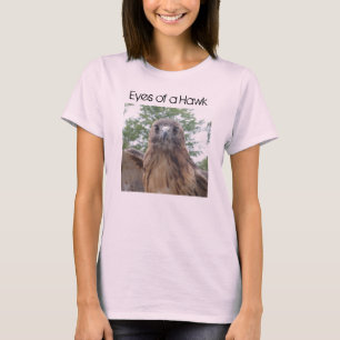 Olhos de uma camisa da conservação do falcão