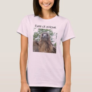 Olhos de uma Camisa de Conservação de Hawk