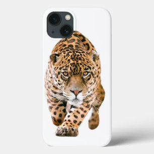 Olhos Jaguares Especiais Exclusivos