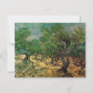 Olive Grove de Vincent van Gogh