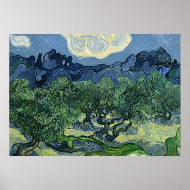 Oliveiras por Van Gogh Poster (Frente)