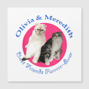Olivia & Meredith - Melhores Amigos Purrr-Ever