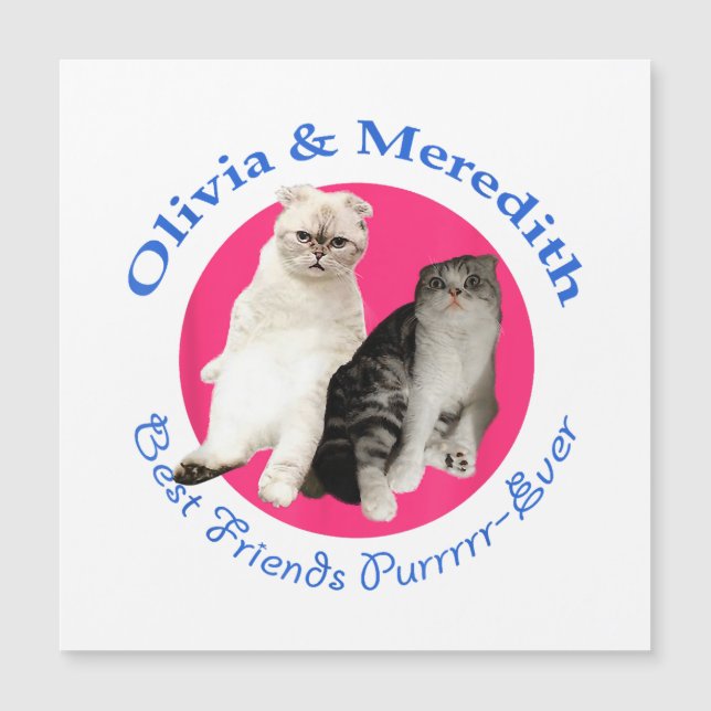 Olivia & Meredith - Melhores Amigos Purrr-Ever (Frente)