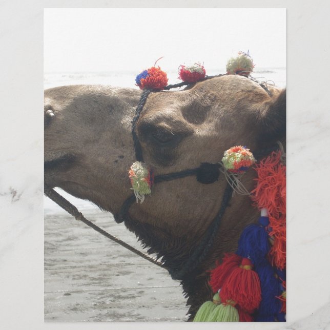 Oman! Muscat (Frente)