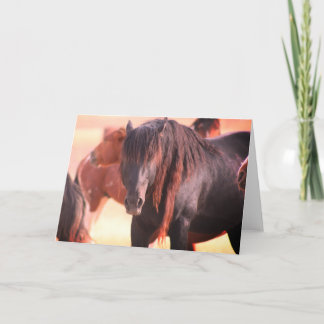 ONAQUI HERD WILD HORSE GREETING CARTÃO
