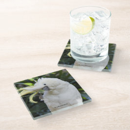 Ondas de Cockatoo Penteadas com Enxofre no Fotógra