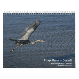 Ondas de Westport - 2013 calendários surfando