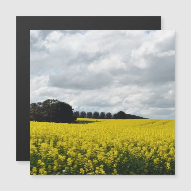 Ondas ouros da placa magnética Streatham (Frente/Verso)