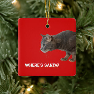 Onde está o enfeite de gato do Papai Noel