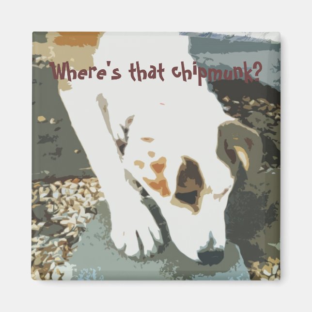 Onde está o pedaço? Íman (Frente)