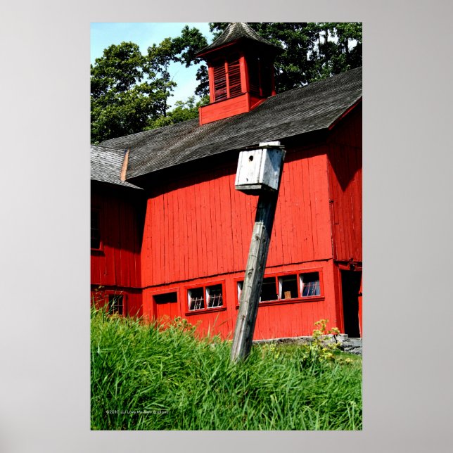 Onde Meadowlards Cantam Impressão da Galeria Verti (Frente)