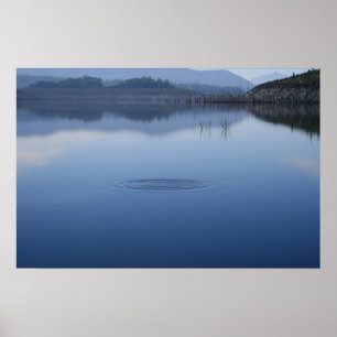 Ondinha na água imóvel - poster