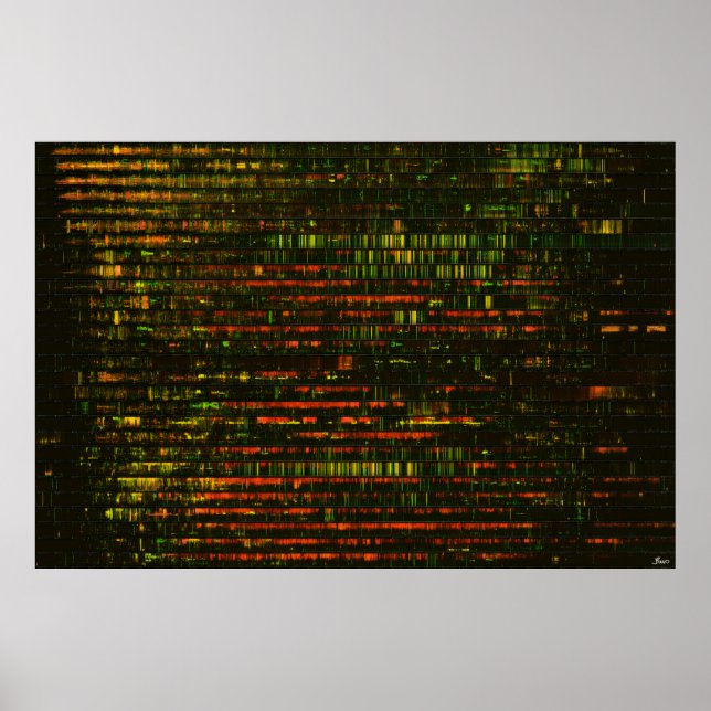 One Month of Sound: Poster (Frente)