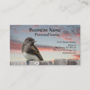 Ônibus. Cartão - Pássaro na cerca ao pôr do sol