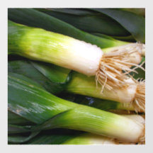 Onions Floor Decal