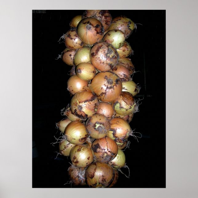 Onions Poster (Frente)