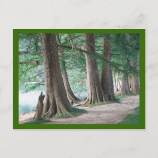 Ontem Árvores, cartão postal