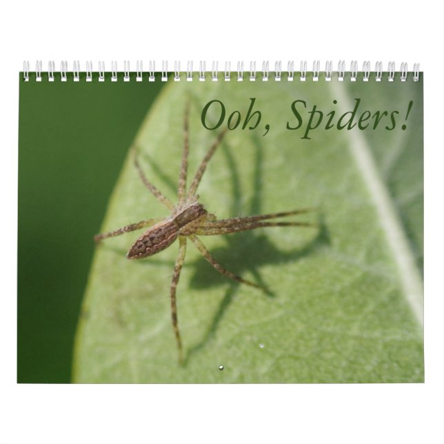 Ooh, aranhas! Calendário (Capa)