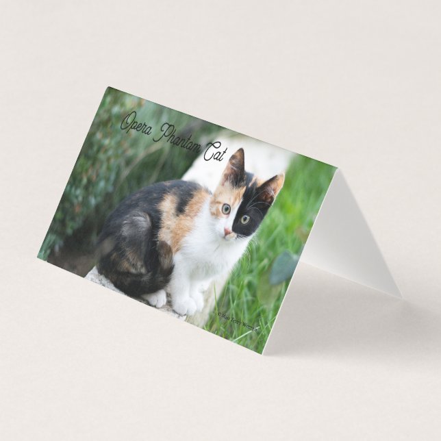 Opera Phantom Cat (Frente)