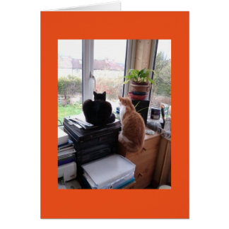 Opinião do gato de meu cartão do escritório