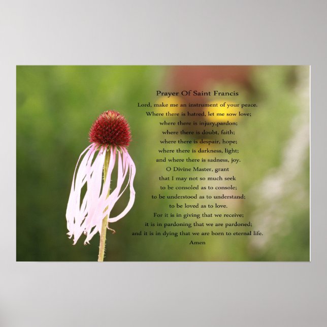 Oração do Santo Francis Poster (Frente)