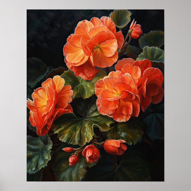 Orange Begonia Flowers Art Impressão Poster (Frente)