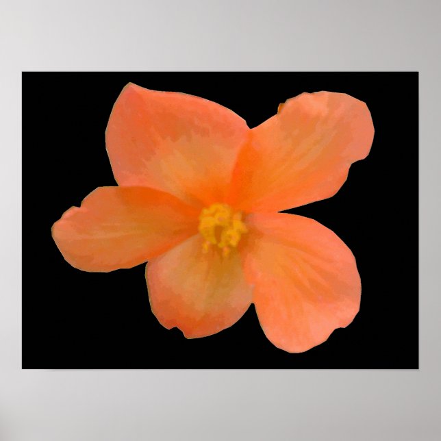 Orange Begonia Impressão (Frente)