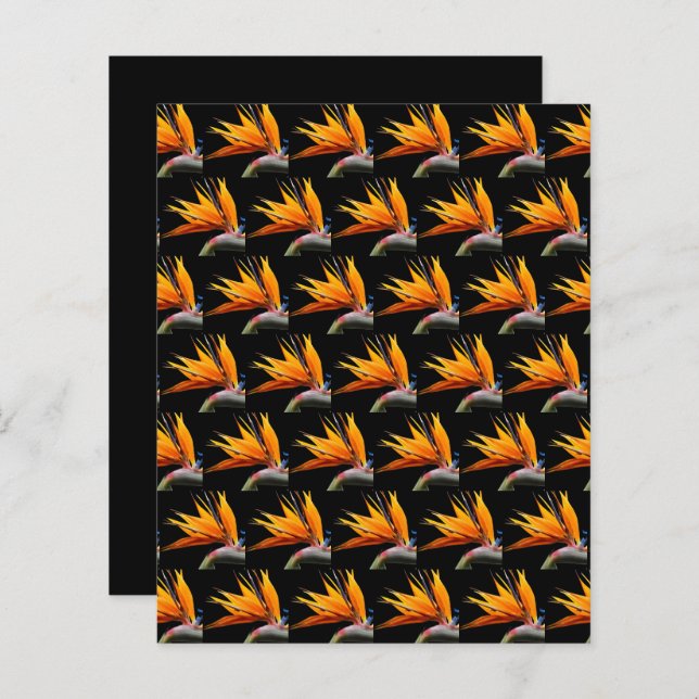 Orange Bird of Paradise Black Scrapbook Paper (Frente/Verso)