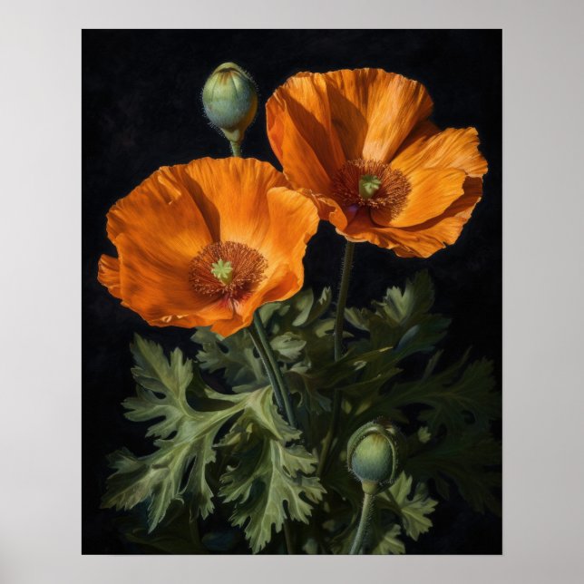 Orange California Poppy Flowers Art Impressão Post (Frente)