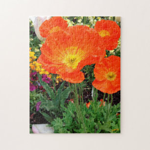 Orange California Poppy Flowers Quebra-cabeça