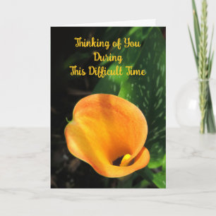 Orange Calla Lily pensando em seu Cartão de condol