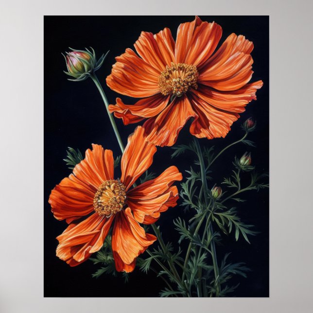 Orange Cosmos Flowers Art Impressão Poster (Frente)