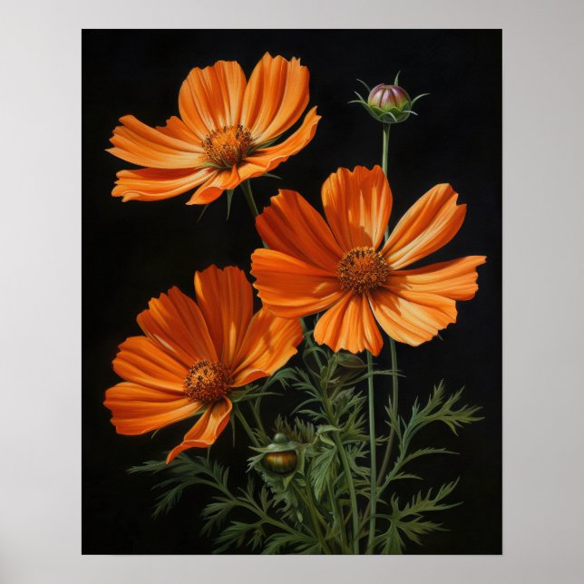 Orange Cosmos Flowers Art Impressão Poster (Frente)